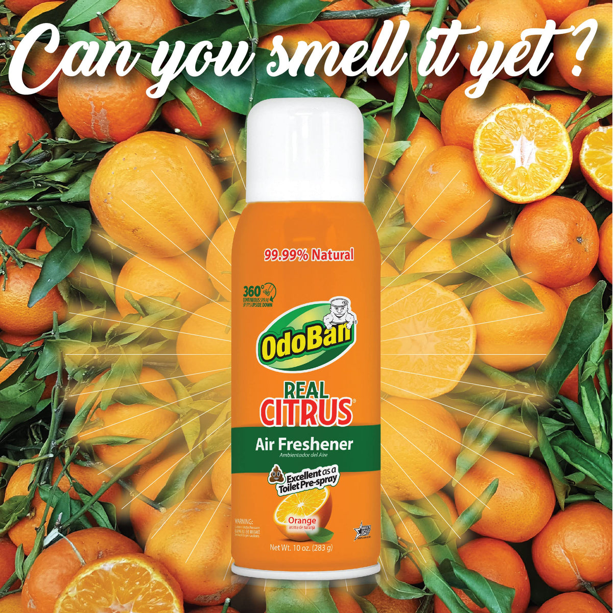 Aroma Eliminator Set by OdoBan – 69 Fl Oz (Pack of 2), Orange, Pack of 2, Model BND03455