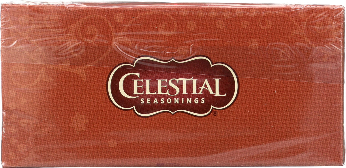 Fireside Vanilla Spice Tea by Celestial Seasonings – 20 Count (Pack of 1), Plastic, Model 0070734536229