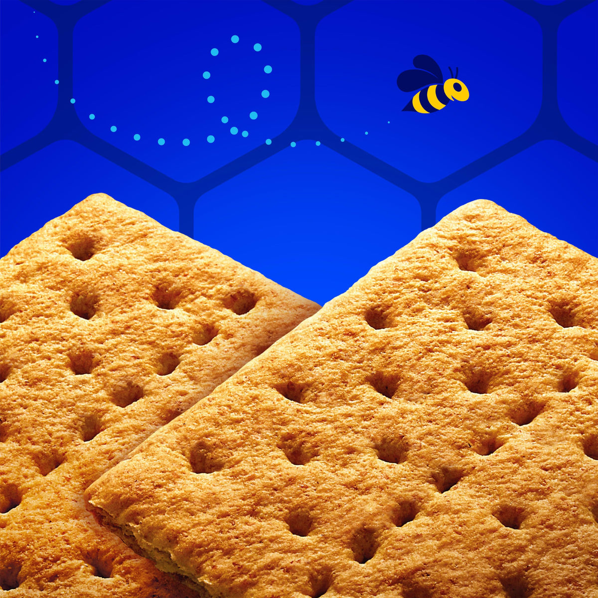Honey Maid 4.8 Ounce (Pack of 27) / 27 Graham Crackers