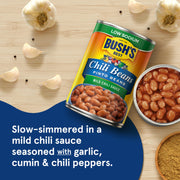 Bush's Low Sodium Pinto Beans in a Mild Chili Sauce 12-15 oz by Bush's Best – 15 Ounce (Pack of 12), Pack of 12, Model 10039400106736