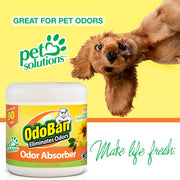 Solid Odor Absorber Eliminator for Home and Small Spaces by OdoBan – 14 Ounce (Pack of 9), White, Pack of 9, Model 9735K61-14Z12