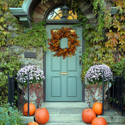 WreathDream Fall Wreath, 20 Inch Oak Leaves with Acorns and Pine Cones, Brown Oak Leaves