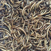 Flock Fest 10 Lbs Bag Fly Larvae by Buffalo Tools – Brown, Model DBSFL10