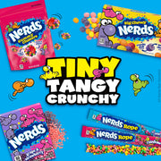 Rope Candy by Nerds – 0.92 Ounce (Pack of 48), Pink, Pack of 24, Model 79200173067
