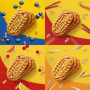 Belvita Basic / Variety / 8.8 Ounce (Pack of 12) Breads & Bakery
