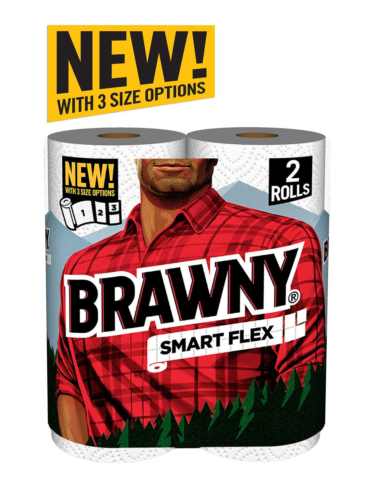 Smart Flex Paper Towel Rolls by Brawny – 2 Count (Pack of 1), Paper, White, Pack of 2, Model 41700