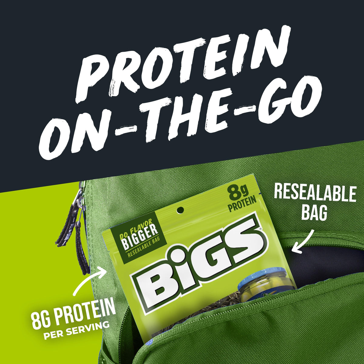 BIGS 16 Ounce (Pack of 1) / 1 Sunflower Seeds