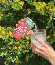 Nixie Pomegranate Green Tea / 12 Fl Oz (Pack of 24) / 24 Carbonated Water