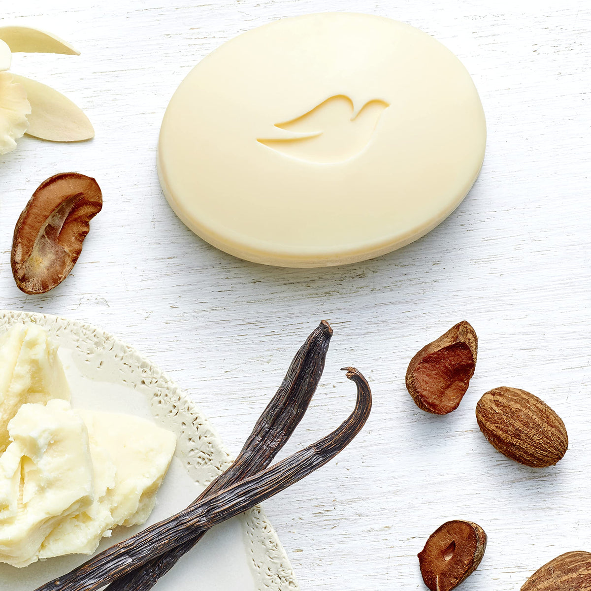 Dove 3.75 Ounce (Pack of 14) / Shea Butter / White Soaps