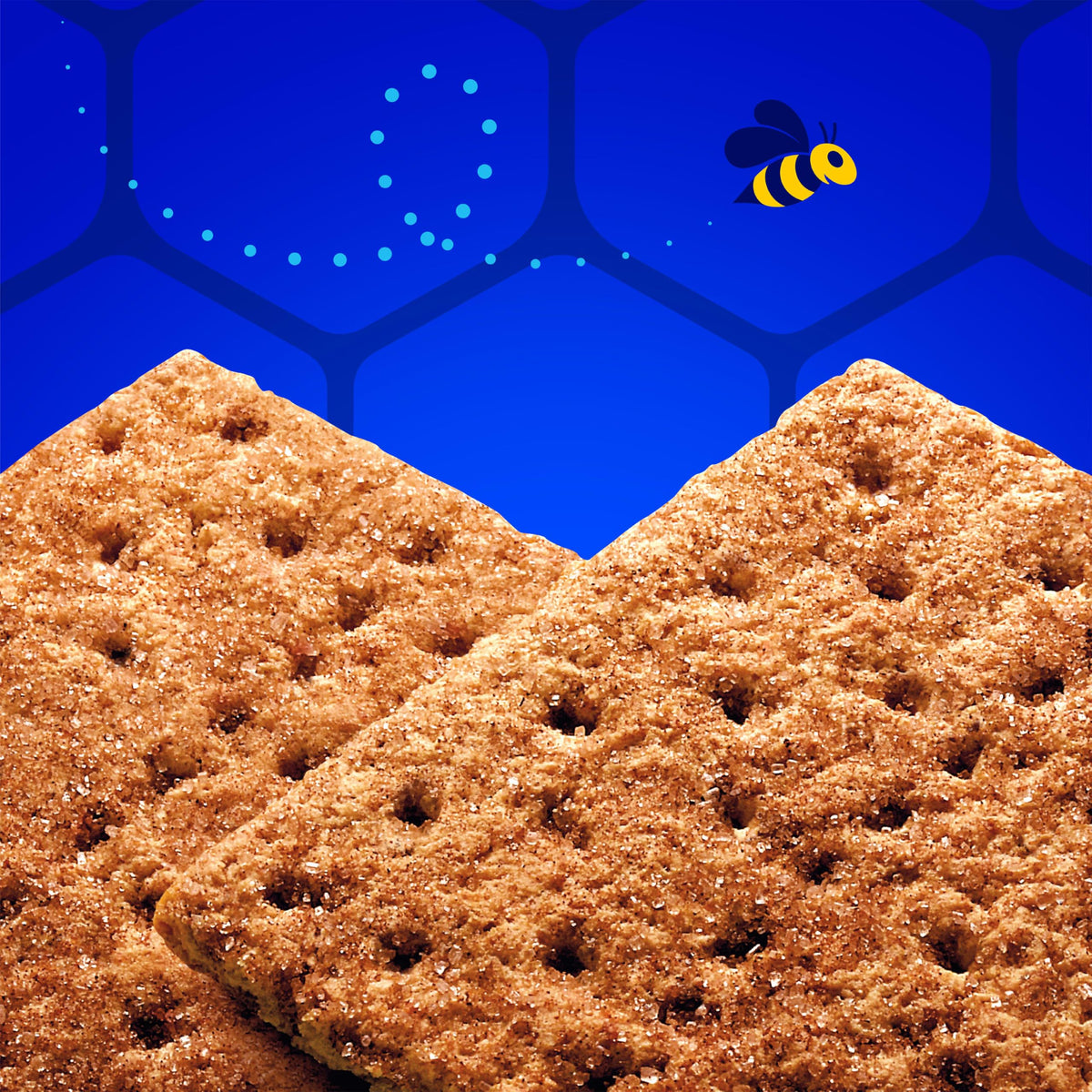 Honey Maid 14.4 Ounce (Pack of 12) / 1 / 12 Graham Crackers