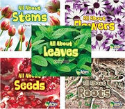All About Plants