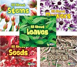 All About Plants