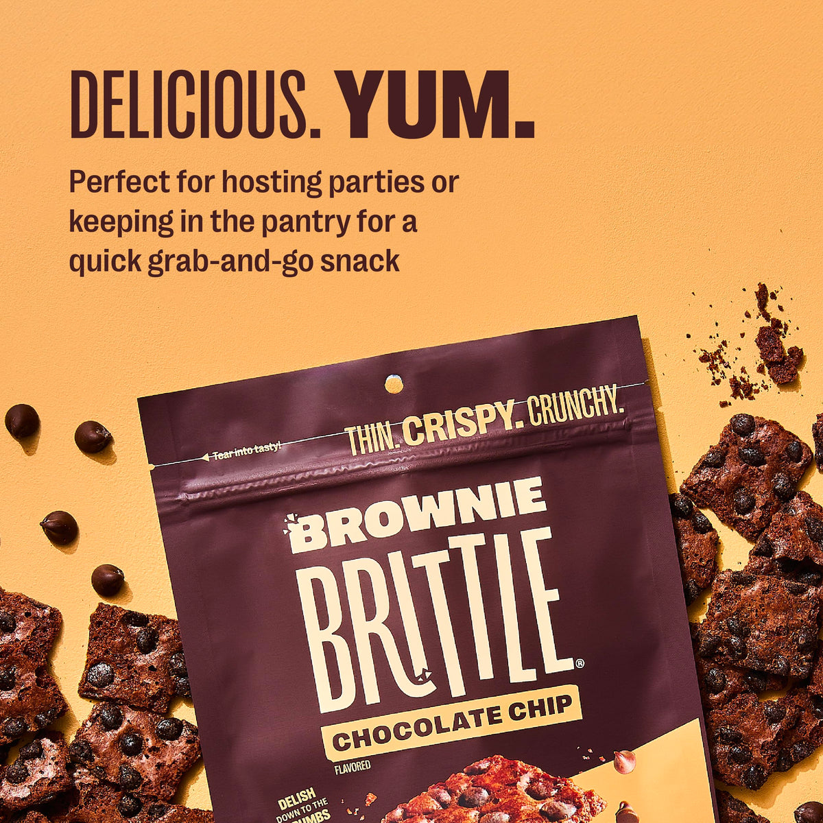 Brownie Brittle Chocolate / 5 Ounce (Pack of 6) / Holiday Brittle