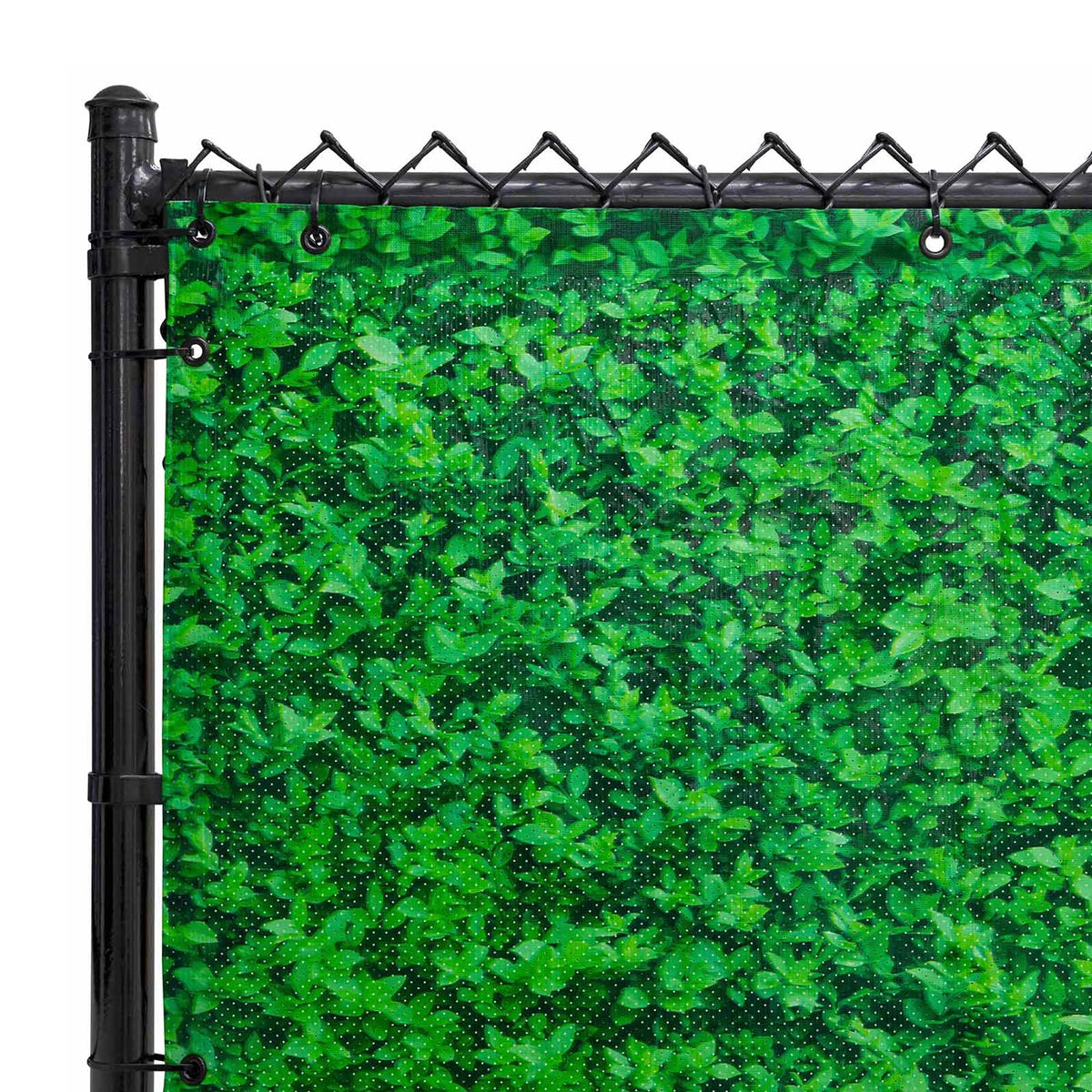 Ligustrum Ficus Double-Sided Scenic Fence Screen (6ft x 50ft) by FenceScreen – 6ft x 50ft, Vinyl, Green, Model 210-5850-LFH
