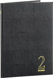 Wilson Jones Hardbound Accounting Journal, 9.25 x 7 Inches, 2 Columns, 80 Pages, 30 Lines per Page, Black (W74102A)