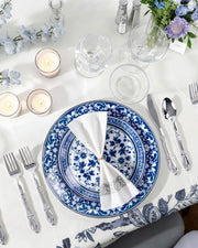 Hioasis Plastic Dinner Plates, 60 Piece Set for 30 People, White and Blue