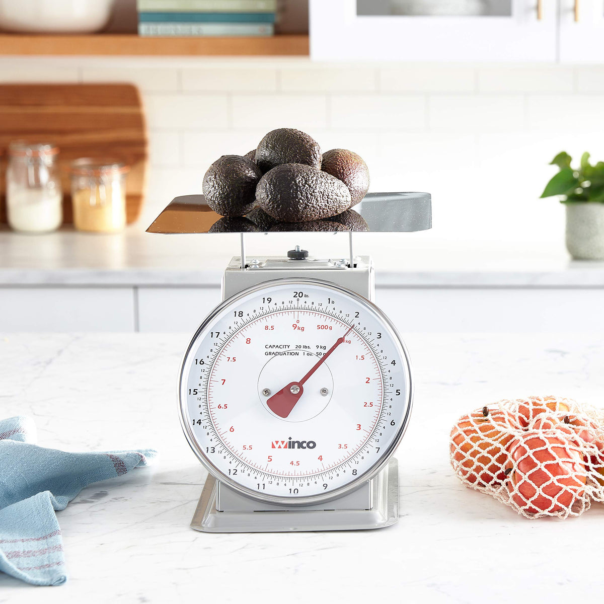Winco 20 Pound / 8" / White, Steel Scales