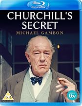 Churchill's Secret