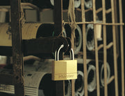 Master Lock 1 / Keyed-Alike / 18 Pack Keyed Padlocks