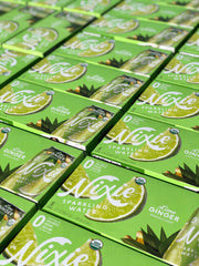 Nixie Lime Ginger / 12 Fl Oz (Pack of 24) / 1 Carbonated Water