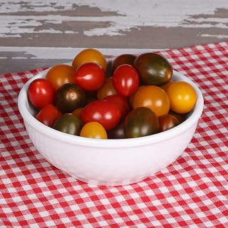 Elite Global Solutions D512B-W Bowl, 5 1/2" Dia. x 2" h., Melamine, White (Pack of 6)