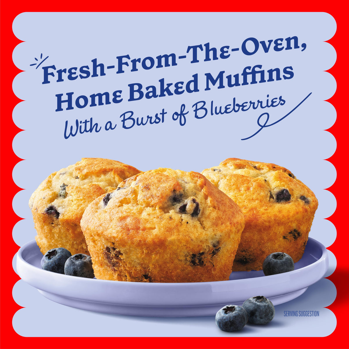 Wild Blueberry Muffin & Quick Bread Mix by Betty Crocker – 16.9 Ounce (Pack of 1), Model BC-WBBMM-1