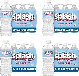 Splash Refresher Wild Berry | 16.9 Fl Oz | Plastic Bottle | 24 Pack