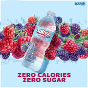Splash Refresher Wild Berry | 16.9 Fl Oz | Plastic Bottle | 24 Pack by SPLASH BLAST – 16.9 Fl Oz (Pack of 24), Clear, Model H-3044