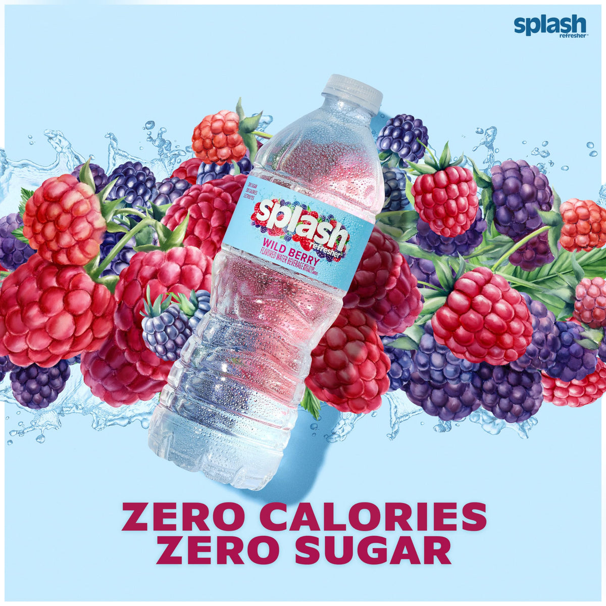 Splash Refresher Wild Berry | 16.9 Fl Oz | Plastic Bottle | 24 Pack by SPLASH BLAST – 16.9 Fl Oz (Pack of 24), Clear, Model H-3044