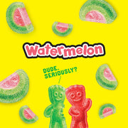 Sour Patch Kids Watermelon / 12 Ounce (Pack of 12) / Green,Pink Gummy Candy