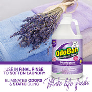 Disinfectant Concentrate and Odor Eliminator by OdoBan – 1 Count (Pack of 2), Clear, Pack of 2, Model BND01066