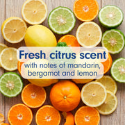 Softsoap Fresh Citrus / 11.25 Fl Oz (Pack of 6) / Blue Hand Wash