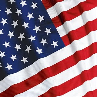 Creative Converting 16 Count Paper Lunch Napkins, American Valor