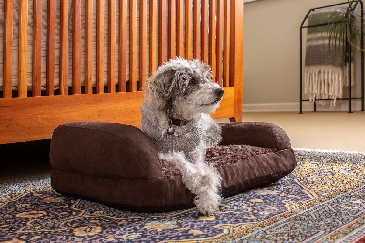 Buddy's 2.5" Thick Memory Foam Comfort Cushion Dog Bed Pillow by New Age Pet – Small, Polyester, Brown, Model CSH303S