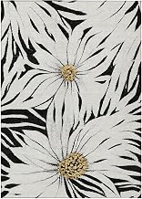 Addison Rugs