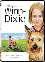 Because of Winn-Dixie