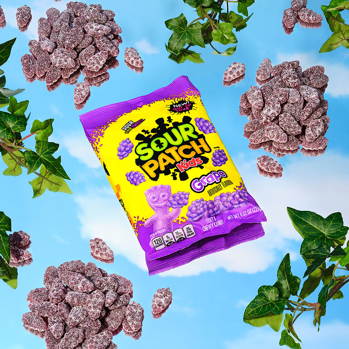 Grape Soft & Chewy Candy by Sour Patch Kids – 8 Ounce (Pack of 1), Model Sour Patch Grapes 143g