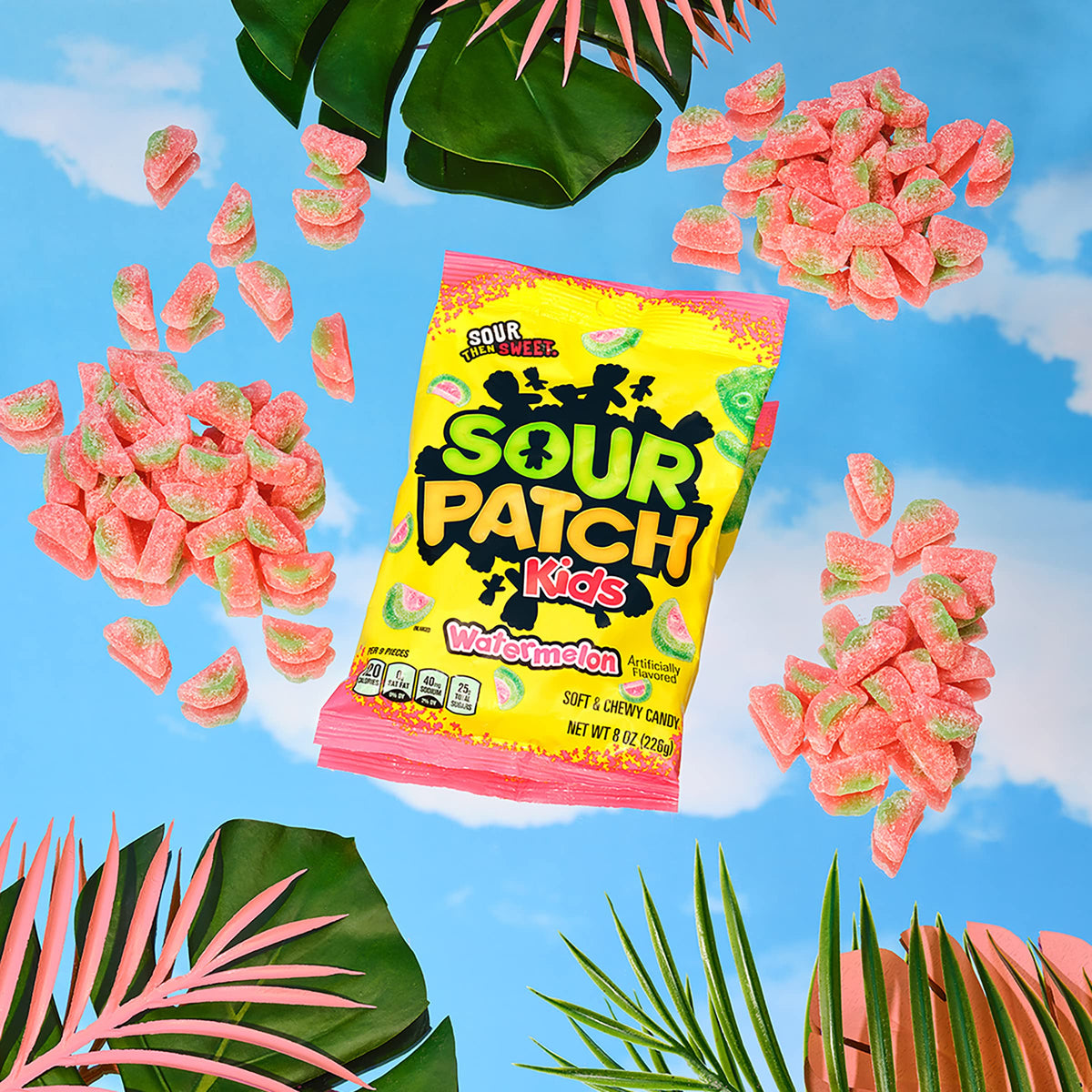 Sour Patch Kids Watermelon / 8 Oz (Pack of 2) / Multicolor Sour Candy
