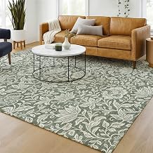 Addison Rugs Chantille ACN2572 Basil 5' x 7'6" Indoor/Outdoor, Machine Washable, Easy Clean, Non Shedding, Bedroom, Living Room, Dining Room, Kitchen, Patio Rug