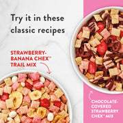 Chex 19.8 Ounce (Pack of 2) / 2 Breakfast Foods