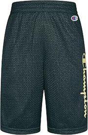 Champion Boy's Vertical Script Mesh Shorts (Big Kids)