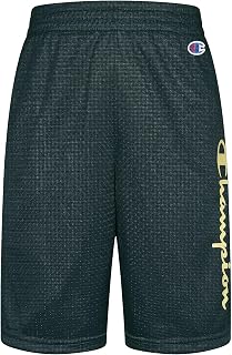Champion Boy's Vertical Script Mesh Shorts (Big Kids)