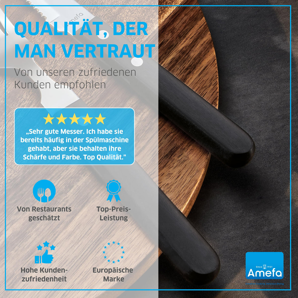 Retail Knife Black Set by Amefa – Steakbesteck Set für 6 Personen, schwarz, Stainless steel, plastic, Silver, Black, Pack of 6, Model STEAK