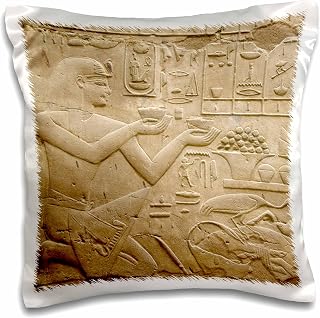 Egypt, Luxor, Luxor Temple, Hieroglyphics-AF14 CMI0384 - Cindy Miller Hopkins 16x16 inch Pillow Case