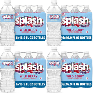 Splash Refresher Wild Berry | 16.9 Fl Oz | Plastic Bottle | 24 Pack by SPLASH BLAST – 16.9 Fl Oz (Pack of 24), Clear, Model H-3044