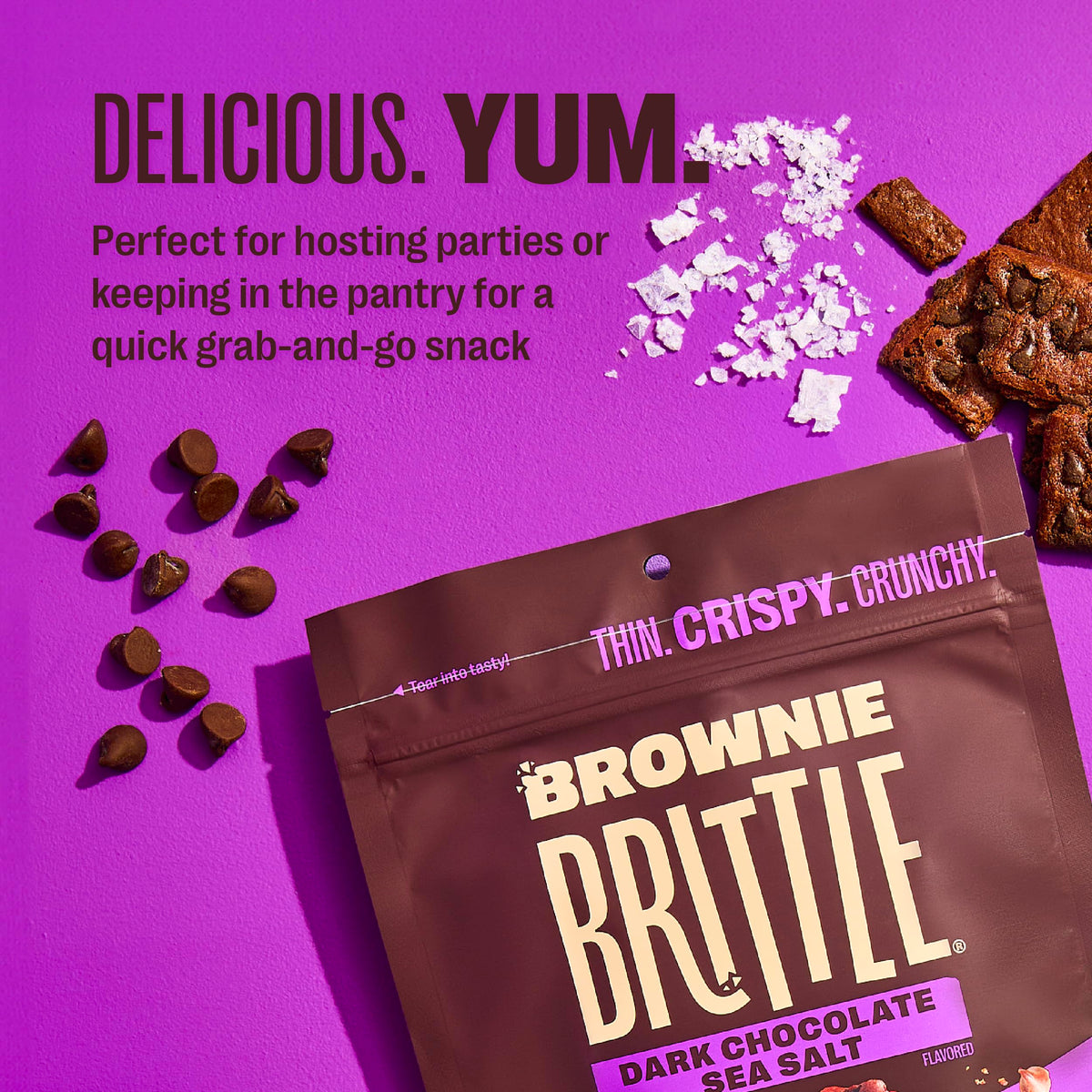 Brownie Brittle Dark Chocolate Sea Salt / 5 Ounce (Pack of 6) / Gift Box Brittle