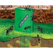 Outdoor Liquid Ant Bait Stakes-2 Pack by Terro – 16 Bait Stations, Clear, Model T1812SR