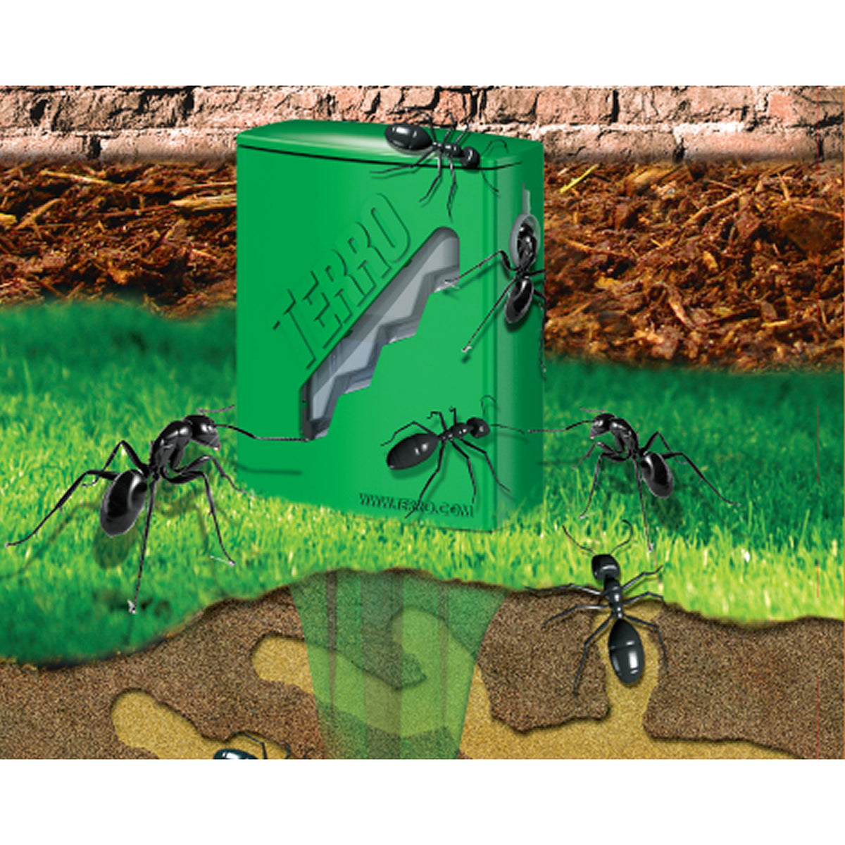 Outdoor Liquid Ant Bait Stakes-2 Pack by Terro – 16 Bait Stations, Clear, Model T1812SR