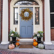 WreathDream Fall Wreath, 20 Inch Eucalyptus and Grain, Orange