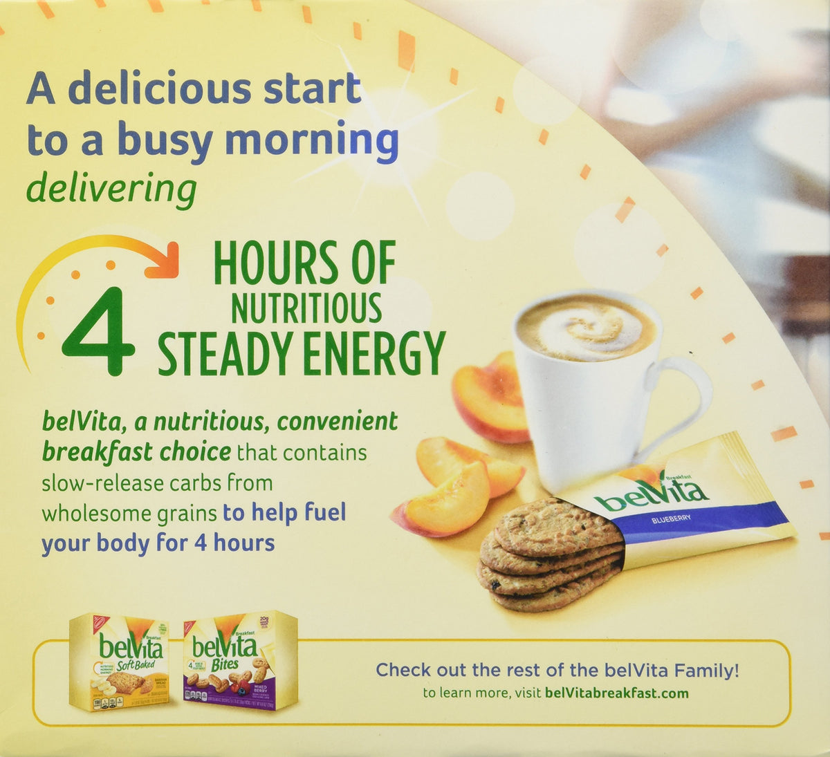 Belvita Blueberry / 8.8 Ounce / 1 Cereal